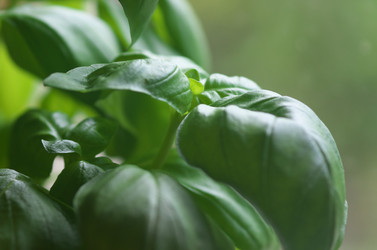 Similar image 12687753