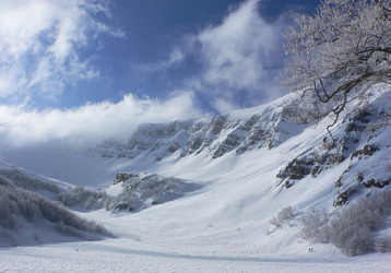 Similar image 12687773