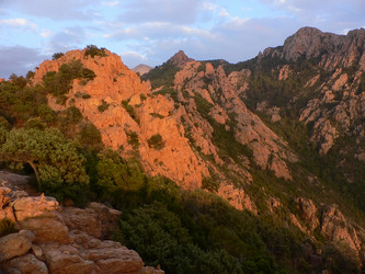 Similar image 12688140