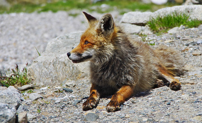 Similar image 12688144