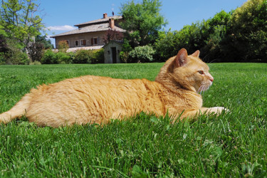 Similar image 12688145