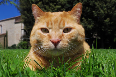 Similar image 12688146