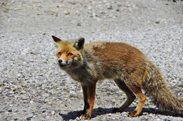 Similar image 12688155