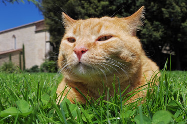 Similar image 12688156