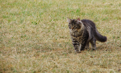 Similar image 12688157