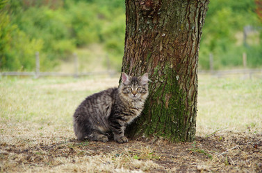 Similar image 12688174