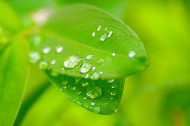 Similar image 12688198