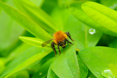 Similar image 12688199