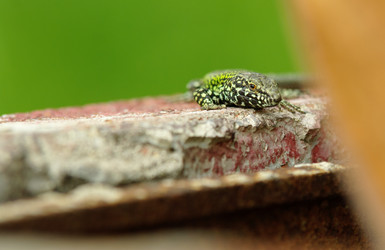 Similar image 12688213