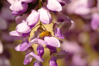 Similar image 12688237