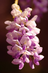 Similar image 12688260