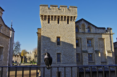 Similar image 12688385