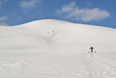 Similar image 12687560