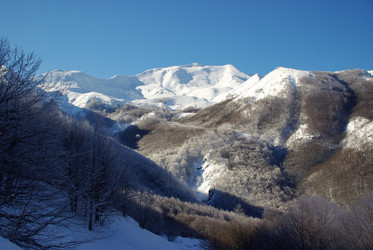 Similar image 12687561