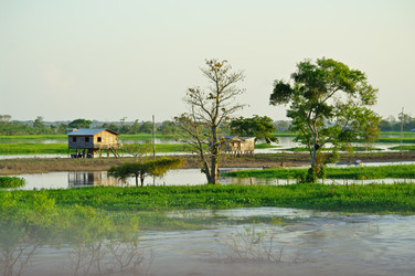 Similar image 12687658