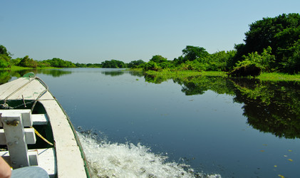 Similar image 12687659