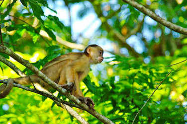 Similar image 12687674