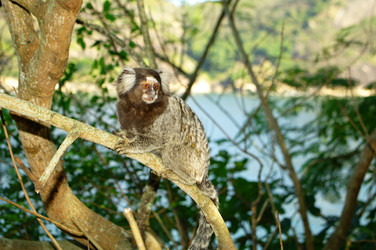 Similar image 12687714