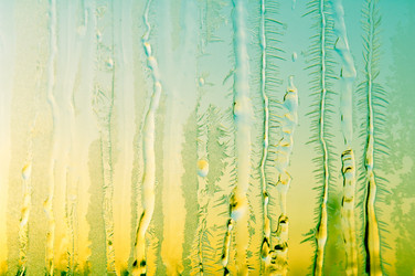 Similar image 12596898