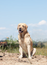 Similar image 12588701