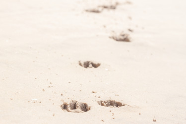 Similar image 12588703