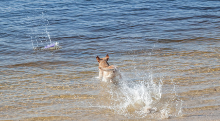 Similar image 12588705