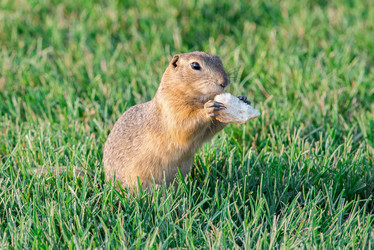 Similar image 12594393