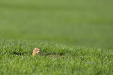 Similar image 12594394