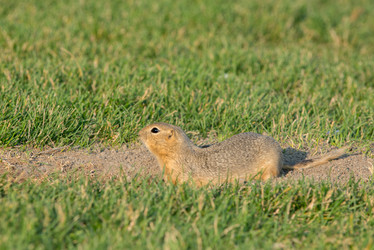 Similar image 12594396