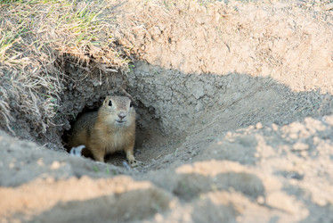 Similar image 12594397