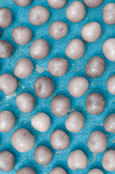 Similar image 12596926