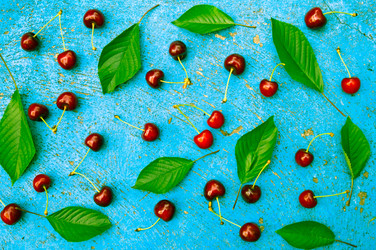 Similar image 12595769