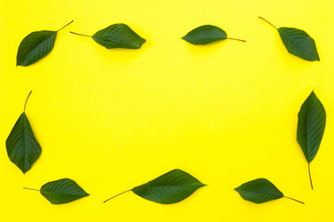 Similar image 12595775