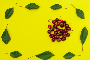 Similar image 12595776