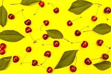 Similar image 12595779