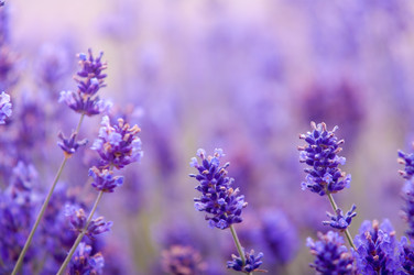 Similar image 12596843