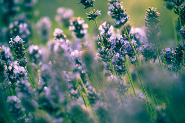 Similar image 12596845