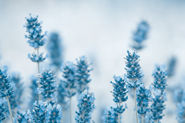 Similar image 12596864