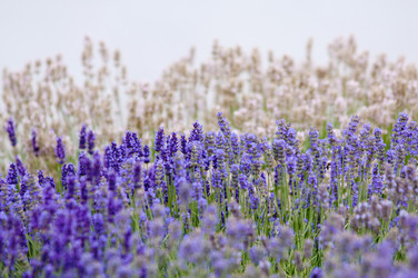 Similar image 12596868