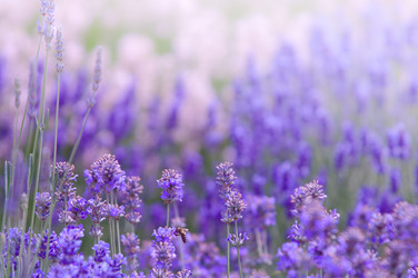 Similar image 12596885