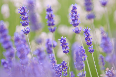 Similar image 12596886