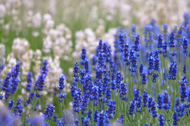 Similar image 12596887