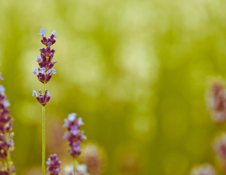 Similar image 12596888