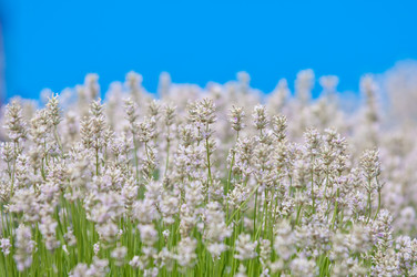 Similar image 12596910