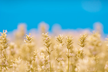 Similar image 12596912