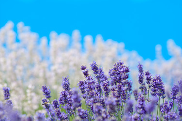 Similar image 12596914