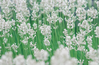 Similar image 12596917