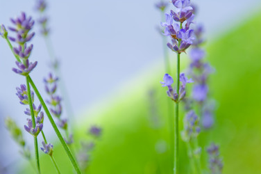 Similar image 12596930