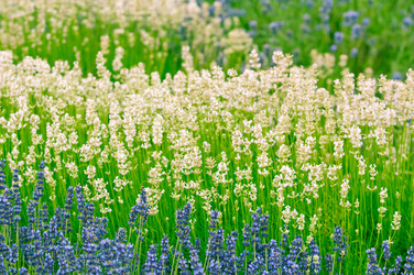 Similar image 12596931