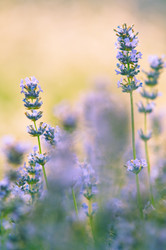 Similar image 12596934